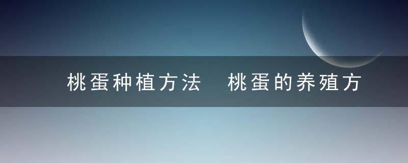 桃蛋种植方法 桃蛋的养殖方法和注意事项